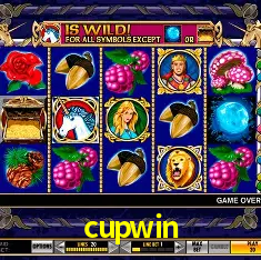 cupwin Rio de Janeiro - Bonus Terms